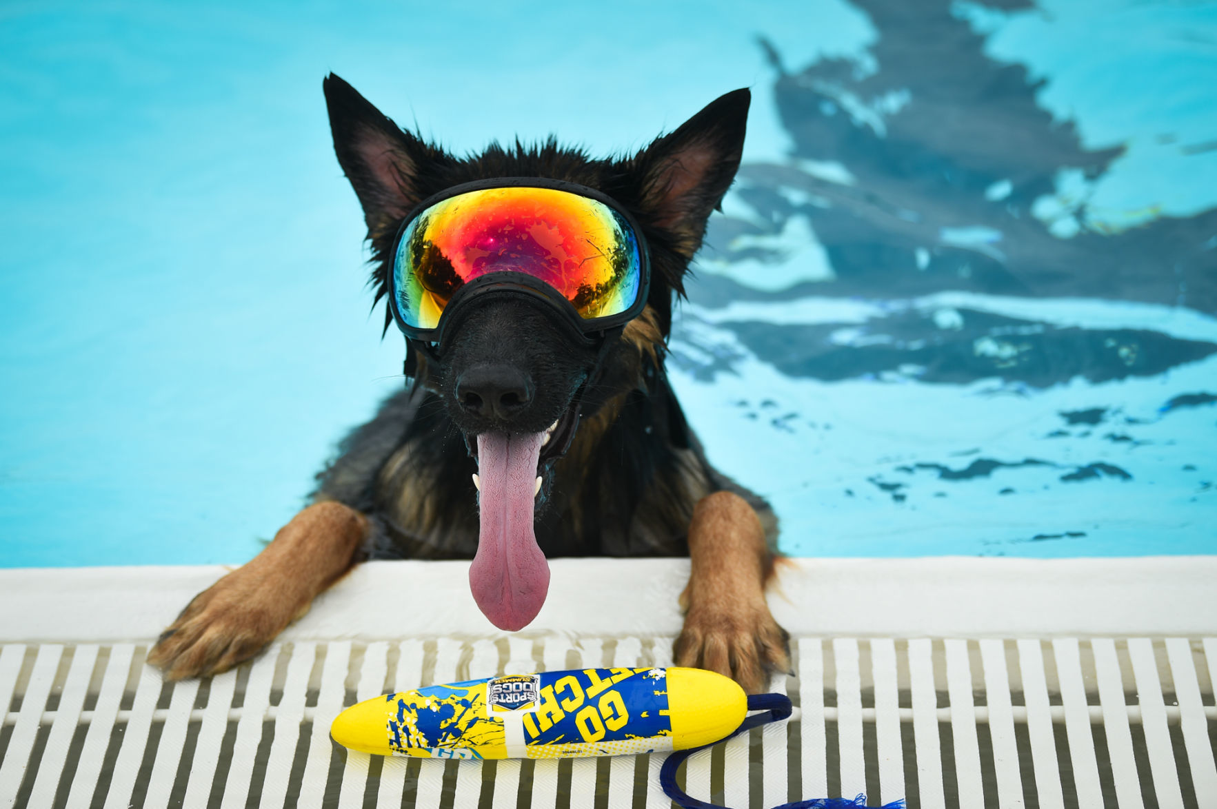 081919-mda-nws-furfriends-020a.JPG